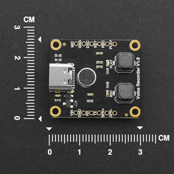 Voice Recorder Module 40Min DFRobot