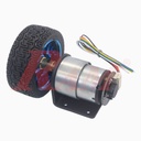 JGB37-520 DC Geared Motor 6Vdc 166 rpm Complete Set With Encoder