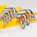 RTM-619 Star Key Wrench With Hole Set Size T10~T50 (9 Pieces)