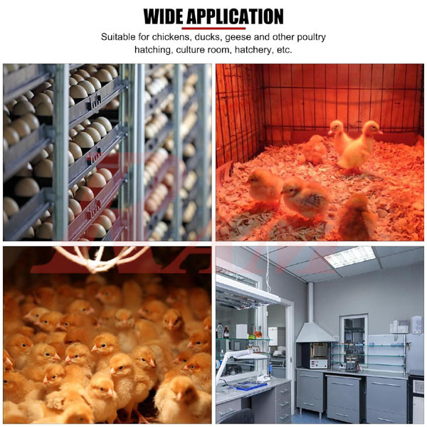 XM-18 220Vac Egg Incubator Programmable Controller Hygrostat Thermostat