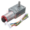 DC Geared Motor 12V 80 rpm Encoder Motor High Torque Turbo Worm - Model GW370  ماتور جيربوكس 12 فولت سرعة 80 لفة/د جانبي