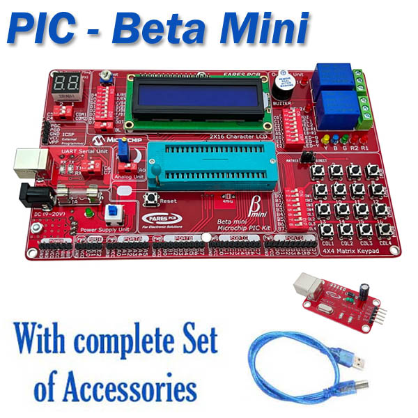 PIC Development Kit & Training (Betamini)