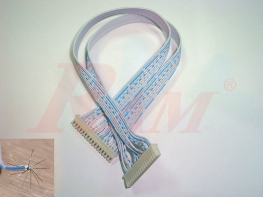 [PW.F.16PIN.X2] PW-F 16 Pin 30cm Wire Cable JST XH2.54