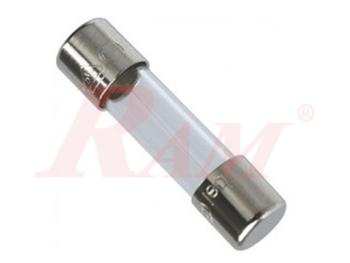 [FUSE.L.4A] فيوز زجاجي طويل 4A امبير 250V فولت - مقاس T6x30 ملم